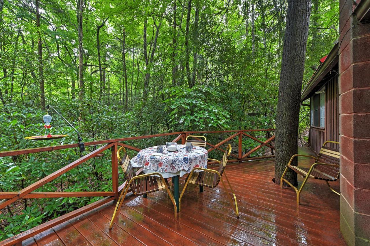 Serene Creekside Cottage Near Asheville Fire Pit Candler Exterior photo